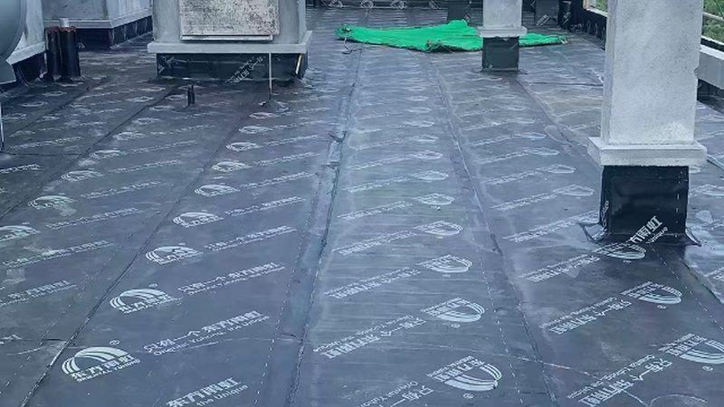 屋面防水补漏：如何评估十大品牌性价比